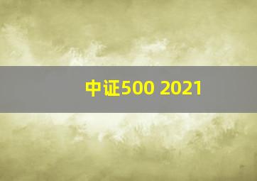 中证500 2021